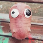 Jaykopp - @jaykopp_712_ - Instagram