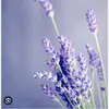 Jaylam - @jaylam112394 - TikTok