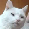 jaylamm467 - @jaylamm467 - TikTok