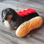 Jay Langen - @jayc0c38d - Instagram
