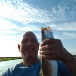 Jay Langston - @jaylangston1 - Instagram