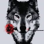 Josh Lanham - @jay.lanham.9 - Instagram