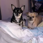 Jay layden - @jay_layden - Instagram