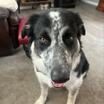 Jay Leahy - @jay_leahy - Instagram