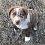 Jay Lightfoot - @lightfoot_jay - Instagram