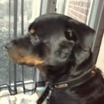 Jay Lilley - @lilley3885 - Instagram