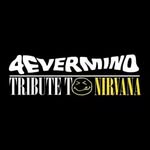 Jay Link - @4evermind27 - Instagram