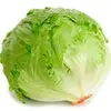 lettuce913 - @jaylist69 - TikTok