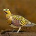 Jay Loo - Facebook