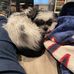 Jayme Lowenstein - Facebook