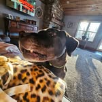 Jaylin Lundberg - @jaylinlundberg - Instagram