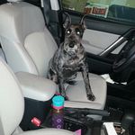 Jayne Lundberg - @jaynelundberg - Instagram