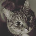 Jayson Lundberg - @jay_son_296 - Instagram