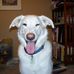 Jay Lundquist - Facebook
