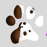 Jay Luttrell - @pawsitivecapture - Instagram