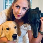 Jay Luttrell - @jay_and_paws - Instagram