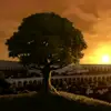 jay - @.jay_lyons - TikTok