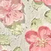 Jay Lyons - @jay.lyons2 - TikTok