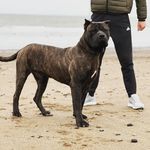 Jay Mackin - @jay_mackin696 - Instagram