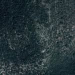 Jay Madsen - @jaymadsen1 - Instagram