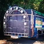 Tina Bhai Tadpada - @jay_maharaj_dj_brand - Instagram