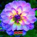 Maxwel Odhiambo - Facebook