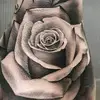 jay_malone - @jay123456789987654321123 - TikTok