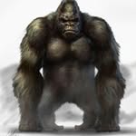 Jay Mancuso - @great_apes.j - Instagram