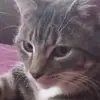 Jay Marriott - @jay.marriott1 - TikTok