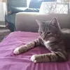 Jay Marriott - @jay.marriott2 - TikTok