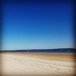 Jay McAdams - @lobosox - Instagram