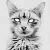 Jay McCabe - @chromepanther - TikTok