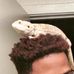 Jay McClinton - Facebook