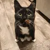 Jayson McCloud - @jayson.mccloud - TikTok