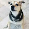Jay McKay - @jay.mckay98 - TikTok