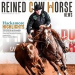 Jay McLaughlin - @jaymclaughlinperformancehorses - Instagram