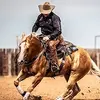 Jay McLaughlin Perf. Horses - @teamjmtiktok - TikTok
