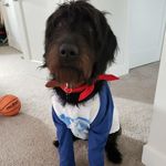 Jay McNeill - @mcneill_jay - Instagram