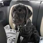 Jay McNeill - @jmcneill2004 - Instagram