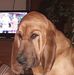 Jay McVay - Facebook