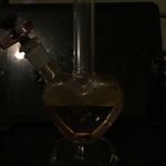 Jay Mealey - @mealey.jay - Instagram