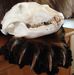 Jay Mears - Facebook