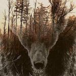 Jay Medlin - @medlinjay - Instagram