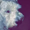 jay.medlin - @jay.medlin - TikTok