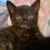 Jayden Michaud - @jaydenmichaud8 - TikTok