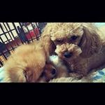 Jay Millard - @eileenr.carroll - Instagram