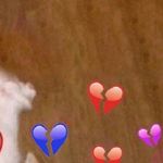 Frsede - @_jayminter - Instagram