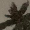 Jay mix - @jm1xlx - TikTok