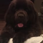 Jay Morey - @jmorey17 - Instagram