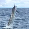 Jay Morey (Jay) - @jay.morey.jay - TikTok